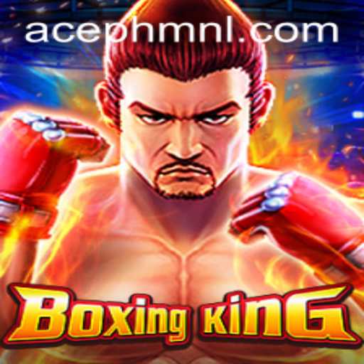 Unpacking the Excitement of BoxingKing: A Dynamic Game Experience